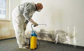 Mold Remediation for Rental Properties in Mont Alto, PA