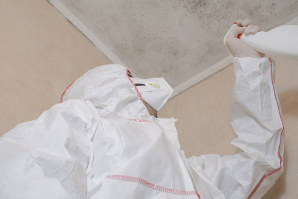 Biohazard Mold Removal in Mont Alto, PA